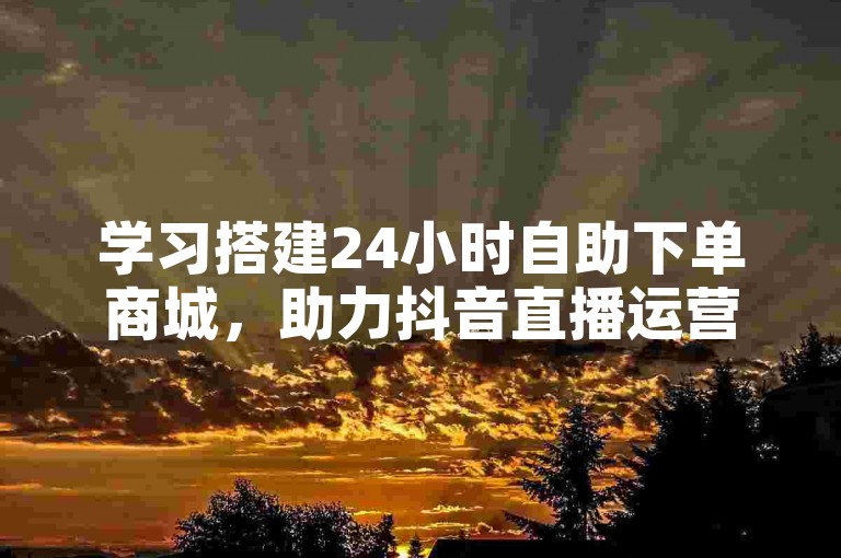 学习搭建24小时自助下单商城，助力抖音直播运营。