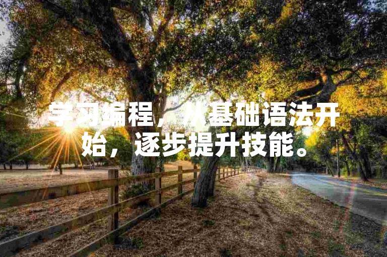 学习编程,从基础语法开始,逐步提升技能。
