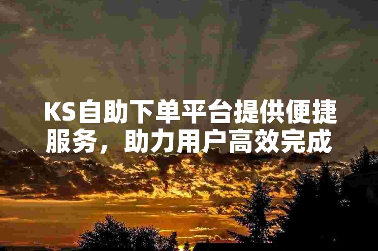 KS自助下单平台提供便捷服务，助力用户高效完成任务。