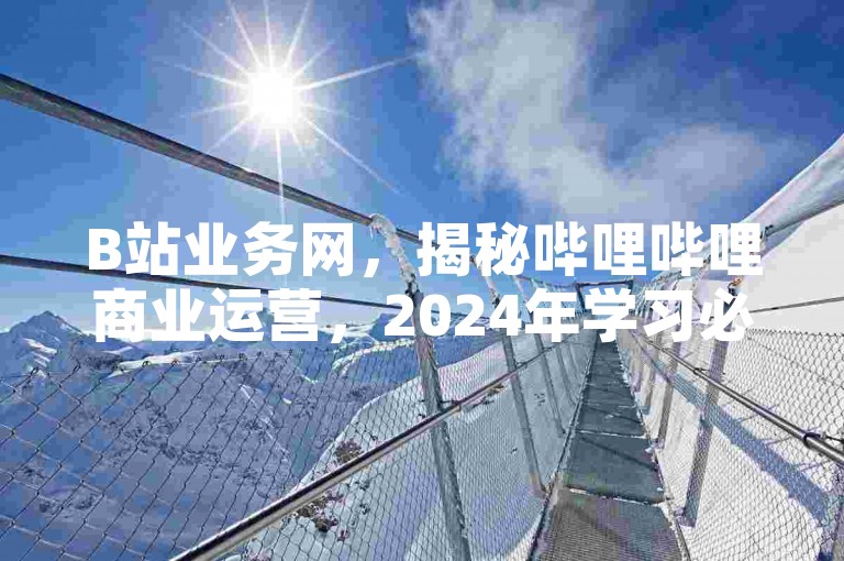 B站业务网,揭秘哔哩哔哩商业运营,2024年学习必备!