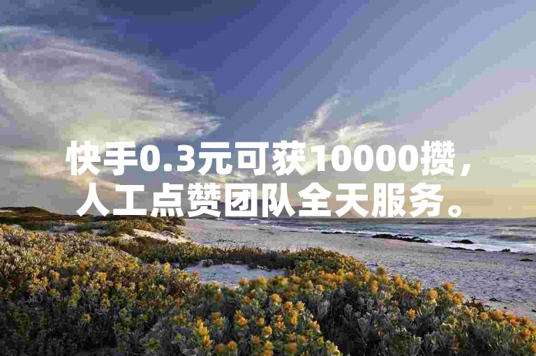 快手0.3元可获10000攒，人工点赞团队全天服务。
