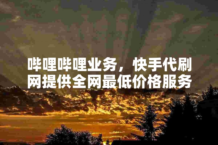 哔哩哔哩业务，快手代刷网提供全网最低价格服务。
