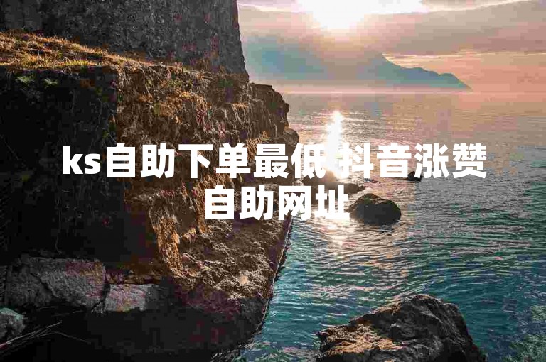 ks自助下单最低 抖音涨赞自助网址