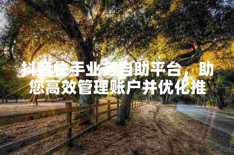 抖音快手业务自助平台，助您高效管理账户并优化推广效果。