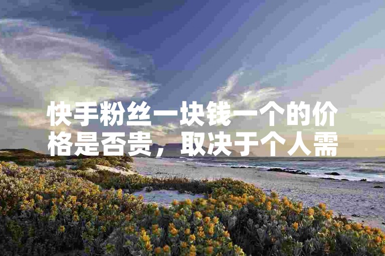 快手粉丝一块钱一个的价格是否贵，取决于个人需求和预算。