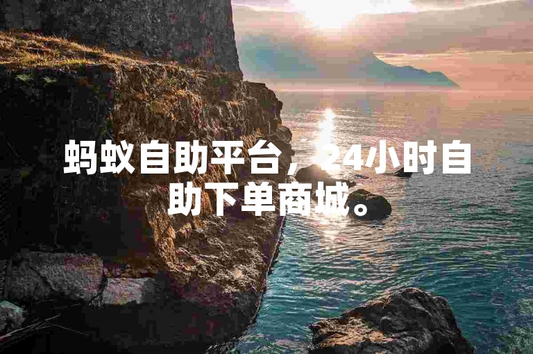 蚂蚁自助平台，24小时自助下单商城。