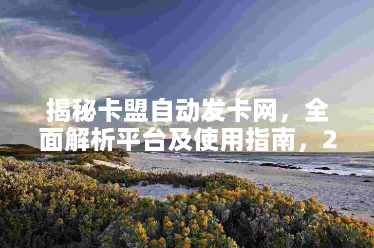 揭秘卡盟自动发卡网，全面解析平台及使用指南，2024必学教程。