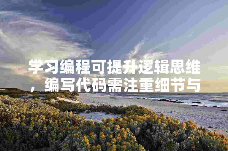 学习编程可提升逻辑思维，编写代码需注重细节与规范。