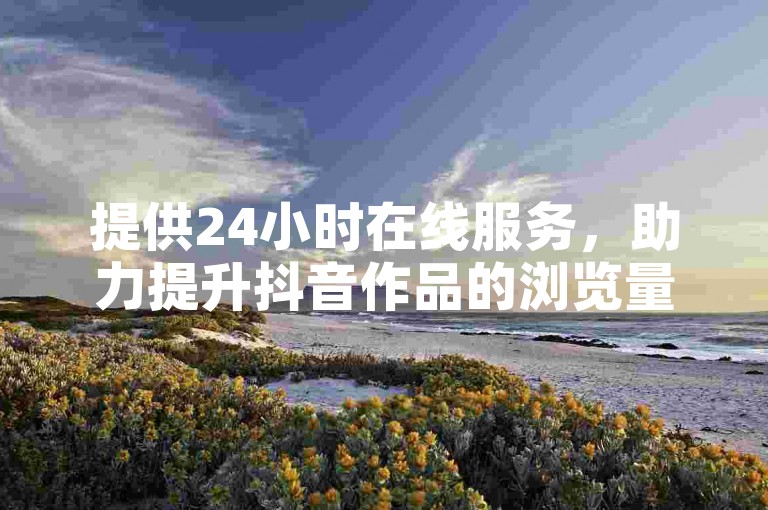 提供24小时在线服务，助力提升抖音作品的浏览量与互动率。