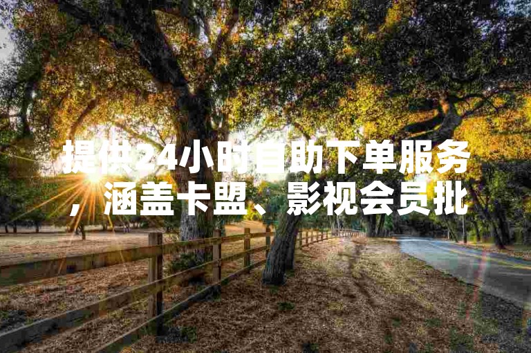 提供24小时自助下单服务，涵盖卡盟、影视会员批发等多样选择。