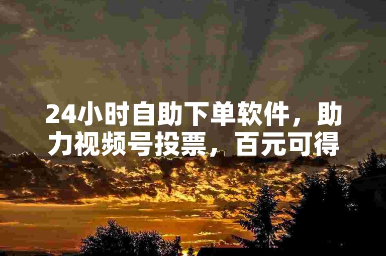 24小时自助下单软件,助力视频号投票,百元可得千票。