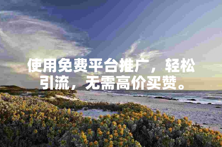 使用免费平台推广，轻松引流，无需高价买赞。