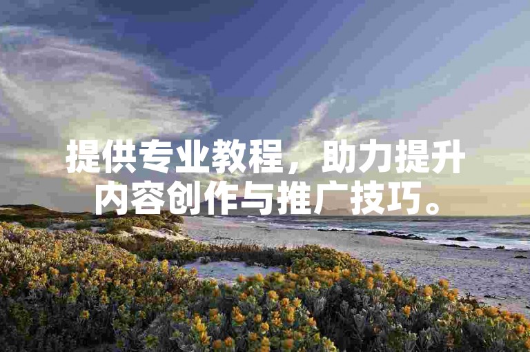 提供专业教程，助力提升内容创作与推广技巧。
