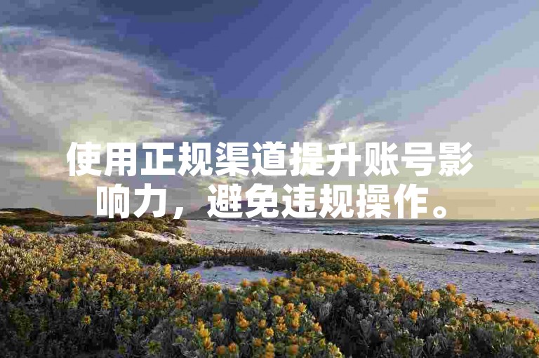 使用正规渠道提升账号影响力，避免违规操作。