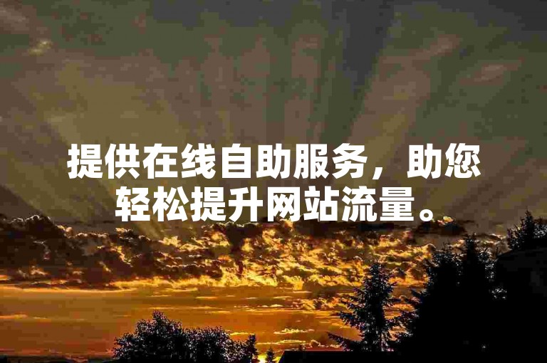 提供在线自助服务，助您轻松提升网站流量。