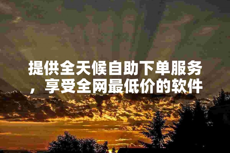 提供全天候自助下单服务，享受全网最低价的软件。