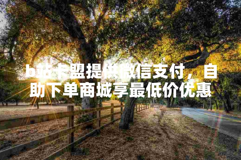 b站卡盟提供微信支付，自助下单商城享最低价优惠。