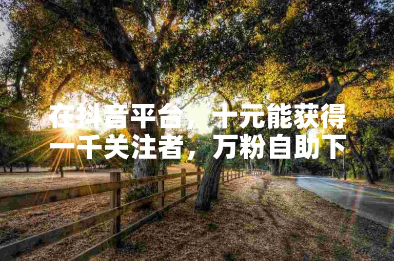 在抖音平台,十元能获得一千关注者,万粉自助下单全天候服务。