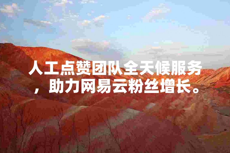人工点赞团队全天候服务，助力网易云粉丝增长。