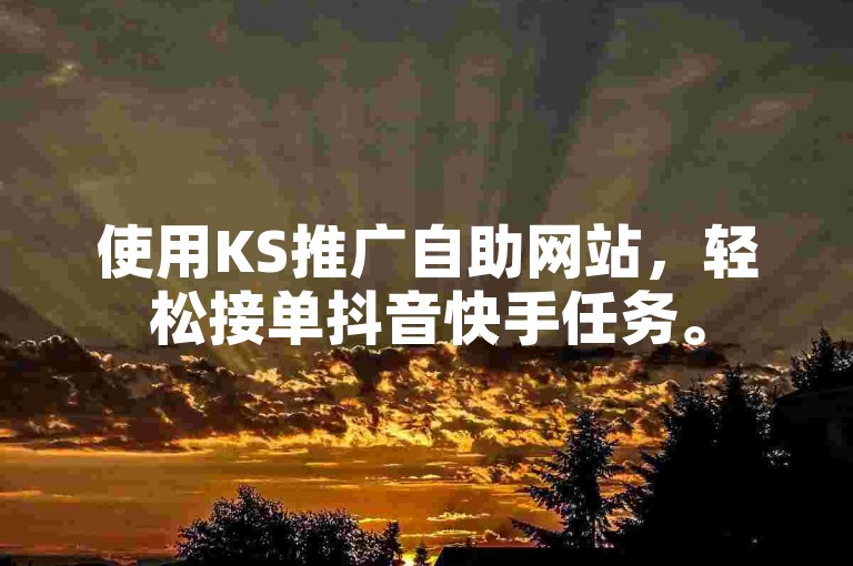 使用KS推广自助网站，轻松接单抖音快手任务。