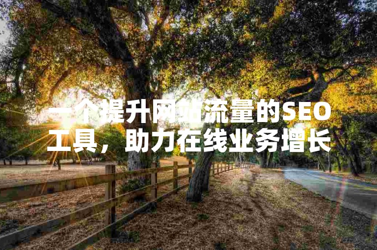 一个提升网站流量的SEO工具，助力在线业务增长。