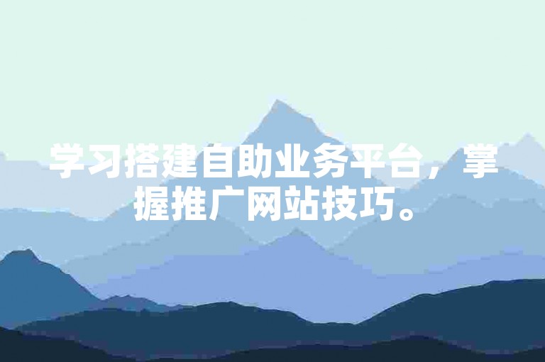 学习搭建自助业务平台，掌握推广网站技巧。