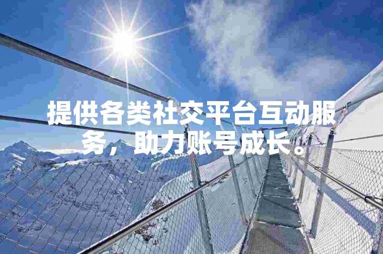 提供各类社交平台互动服务，助力账号成长。