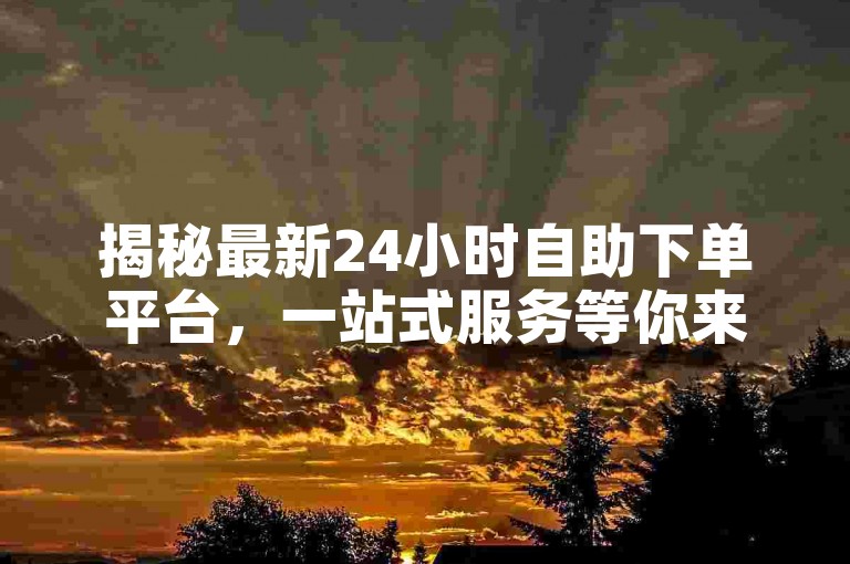 揭秘最新24小时自助下单平台，一站式服务等你来体验！