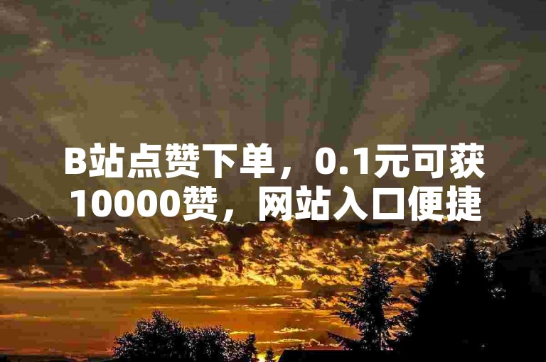 B站点赞下单，0.1元可获10000赞，网站入口便捷。