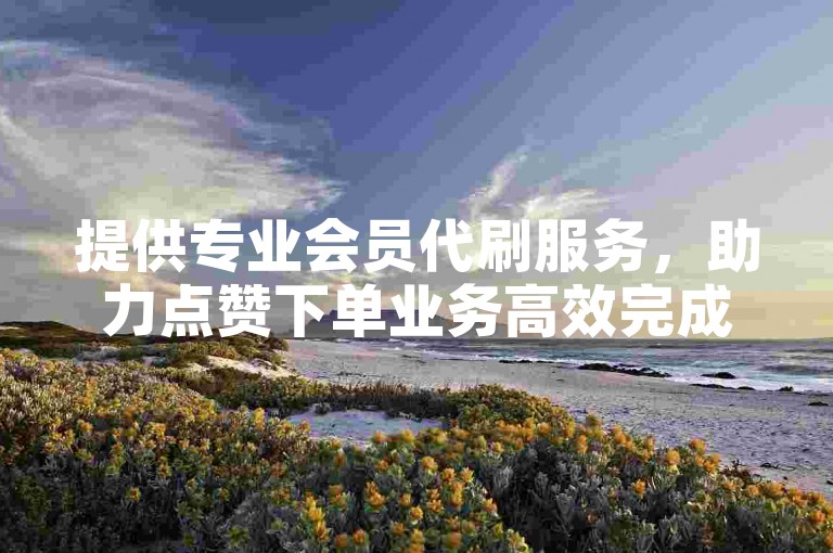 提供专业会员代刷服务，助力点赞下单业务高效完成。