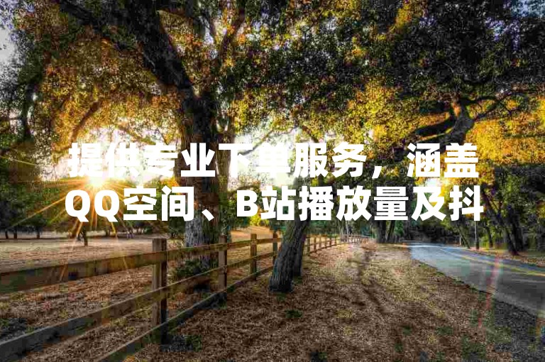 提供专业下单服务，涵盖QQ空间、B站播放量及抖音业务。