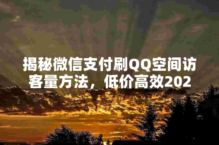 揭秘微信支付刷QQ空间访客量方法,低价高效2025必备技巧。