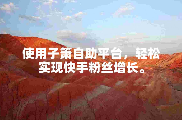 使用子箫自助平台，轻松实现快手粉丝增长。