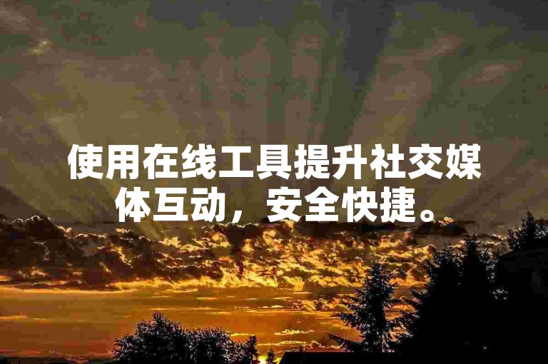使用在线工具提升社交媒体互动，安全快捷。
