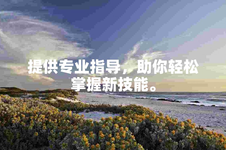 提供专业指导，助你轻松掌握新技能。