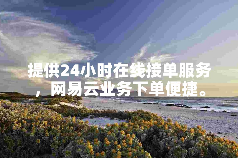 提供24小时在线接单服务，网易云业务下单便捷。