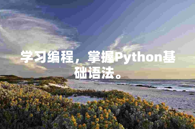学习编程，掌握Python基础语法。