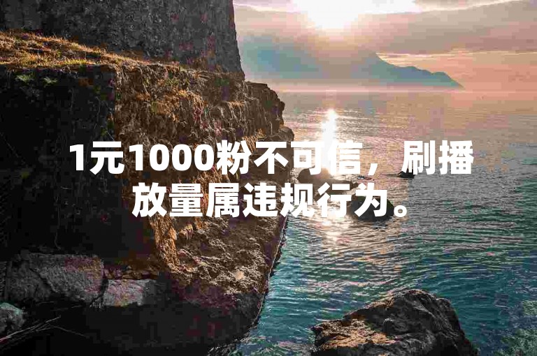 1元1000粉不可信，刷播放量属违规行为。