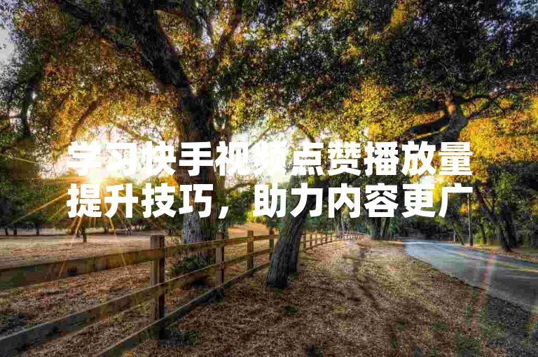 学习快手视频点赞播放量提升技巧，助力内容更广泛传播。