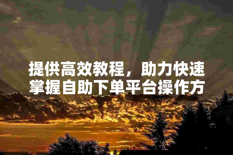提供高效教程，助力快速掌握自助下单平台操作方法。