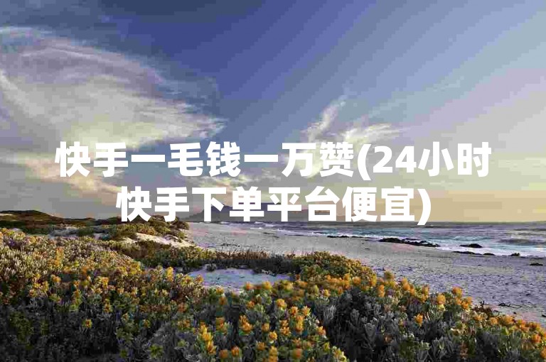 快手一毛钱一万赞(24小时快手下单平台便宜)