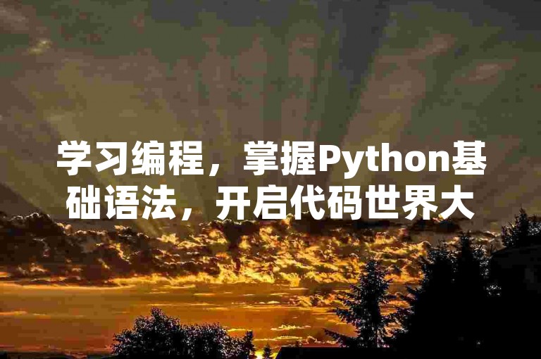学习编程,掌握Python基础语法,开启代码世界大门。
