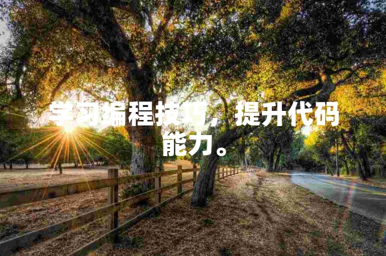 学习编程技巧，提升代码能力。