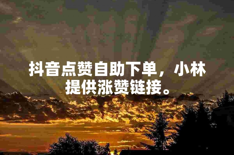 抖音点赞自助下单,小林提供涨赞链接。