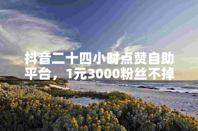 抖音二十四小时点赞自助平台，1元3000粉丝不掉粉，免费浏览量1000，24小时播放量1000。