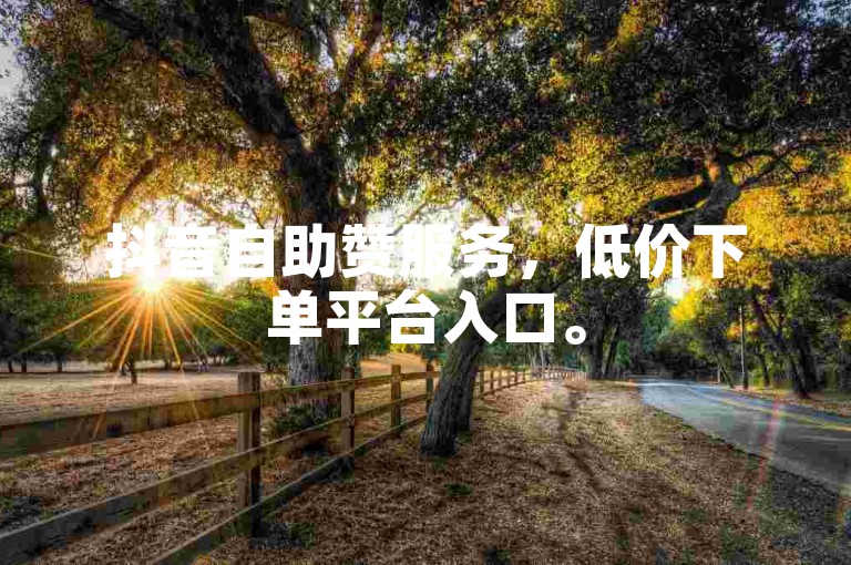抖音自助赞服务，低价下单平台入口。