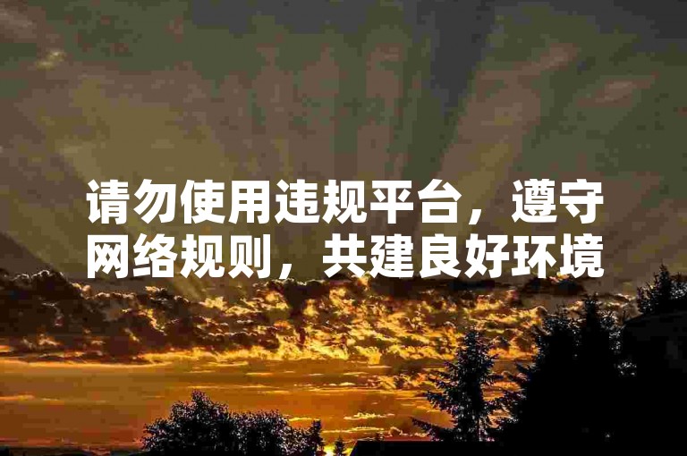 请勿使用违规平台，遵守网络规则，共建良好环境。