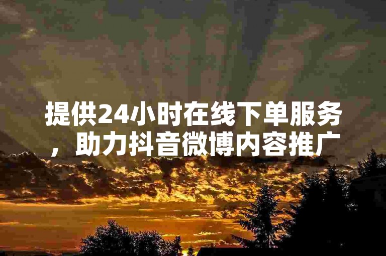 提供24小时在线下单服务，助力抖音微博内容推广。