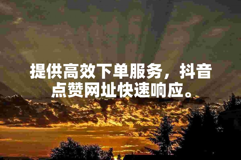 提供高效下单服务，抖音点赞网址快速响应。