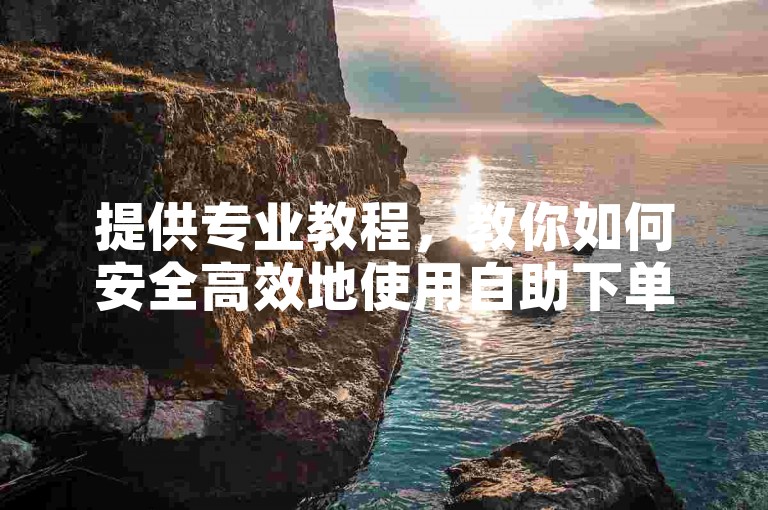 提供专业教程，教你如何安全高效地使用自助下单服务。